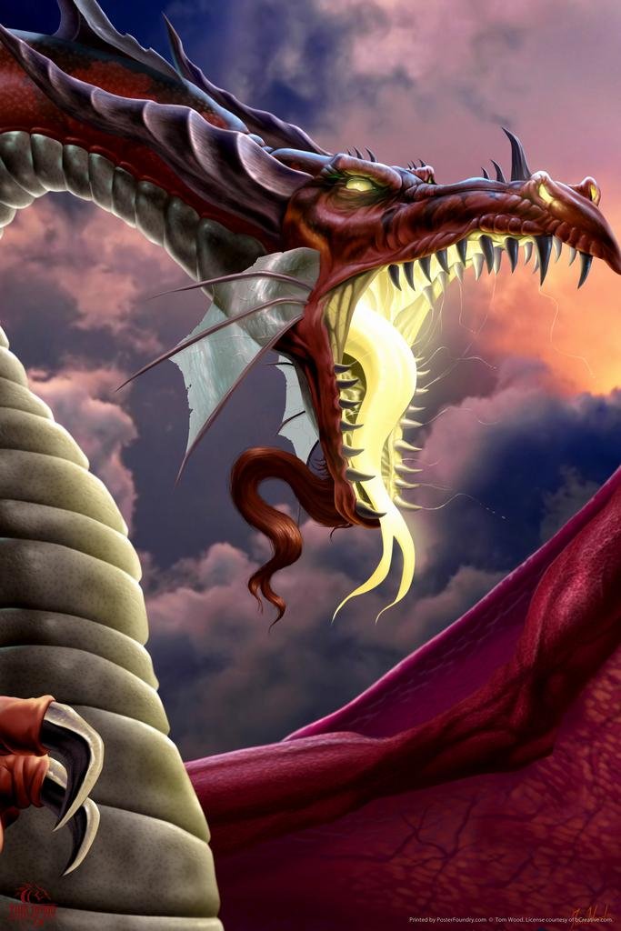 Amazon.com: Laminated The Wretched Dragon Tom Wood Fantasy Poster